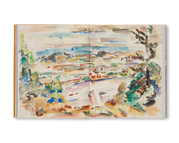 PAINTINGS ON PAPER / MARK ROTHKO マーク・ロスコ - books used