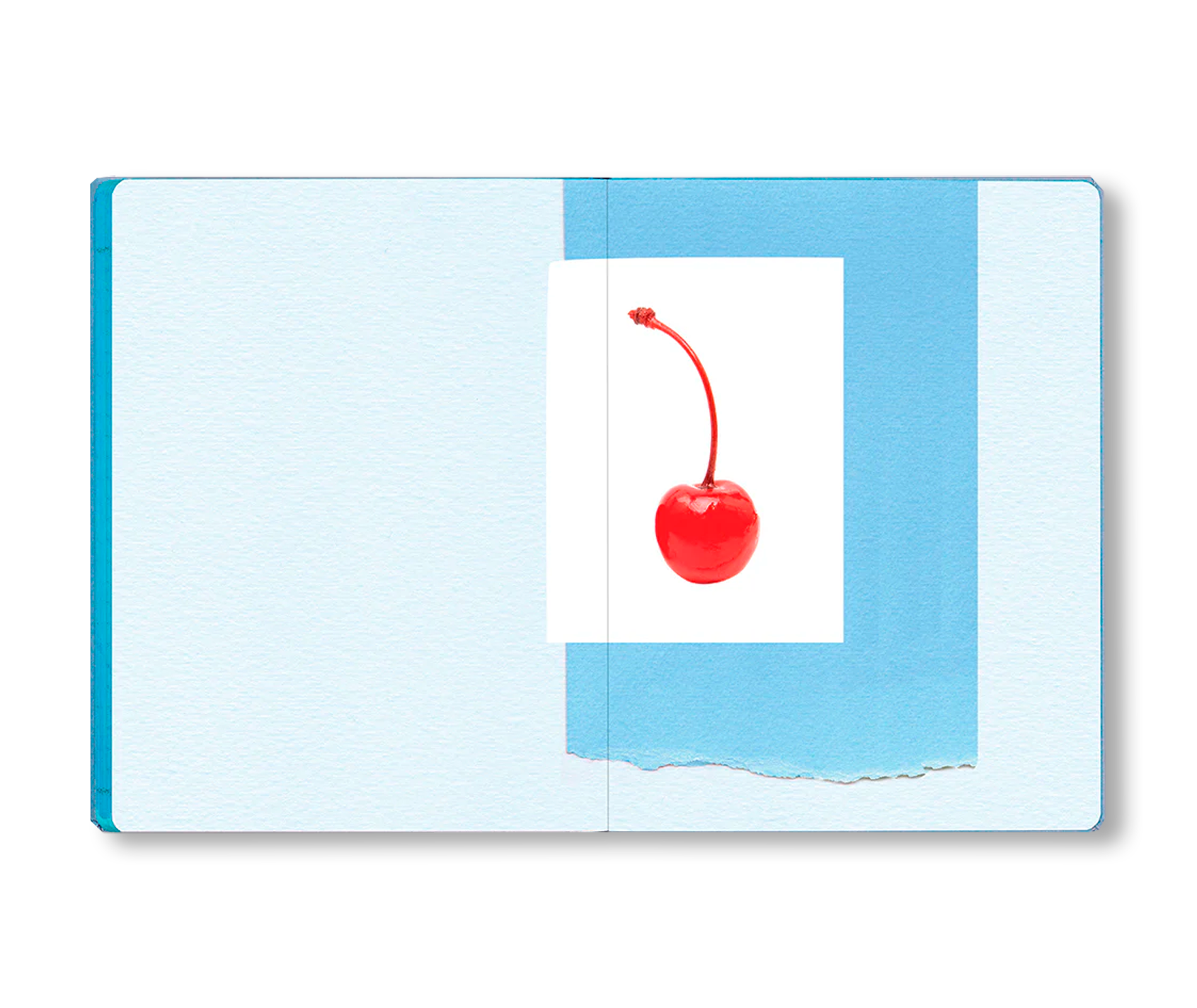 THE IMPORTANT FLOWERS PLANNER 2026 by Sofia Coppola