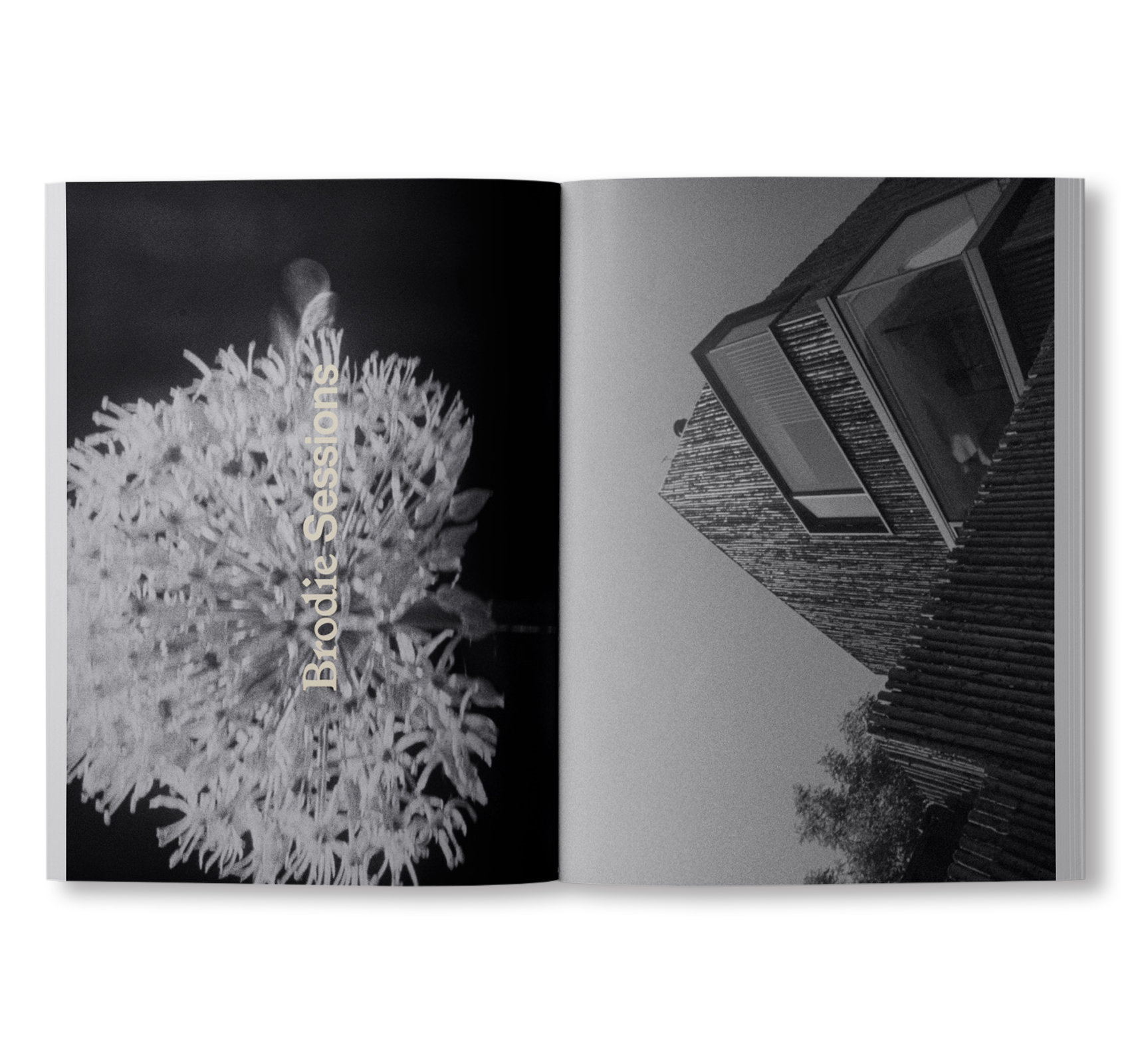 ARK JOURNAL VOLUME XIII SPRING/SUMMER 2025