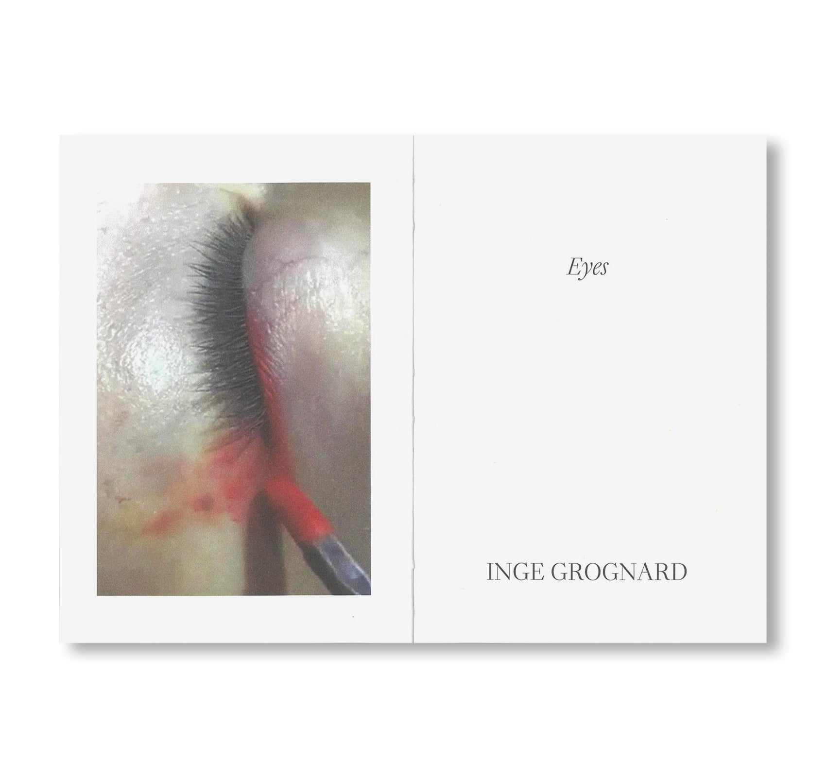 EYES by Inge Grognard