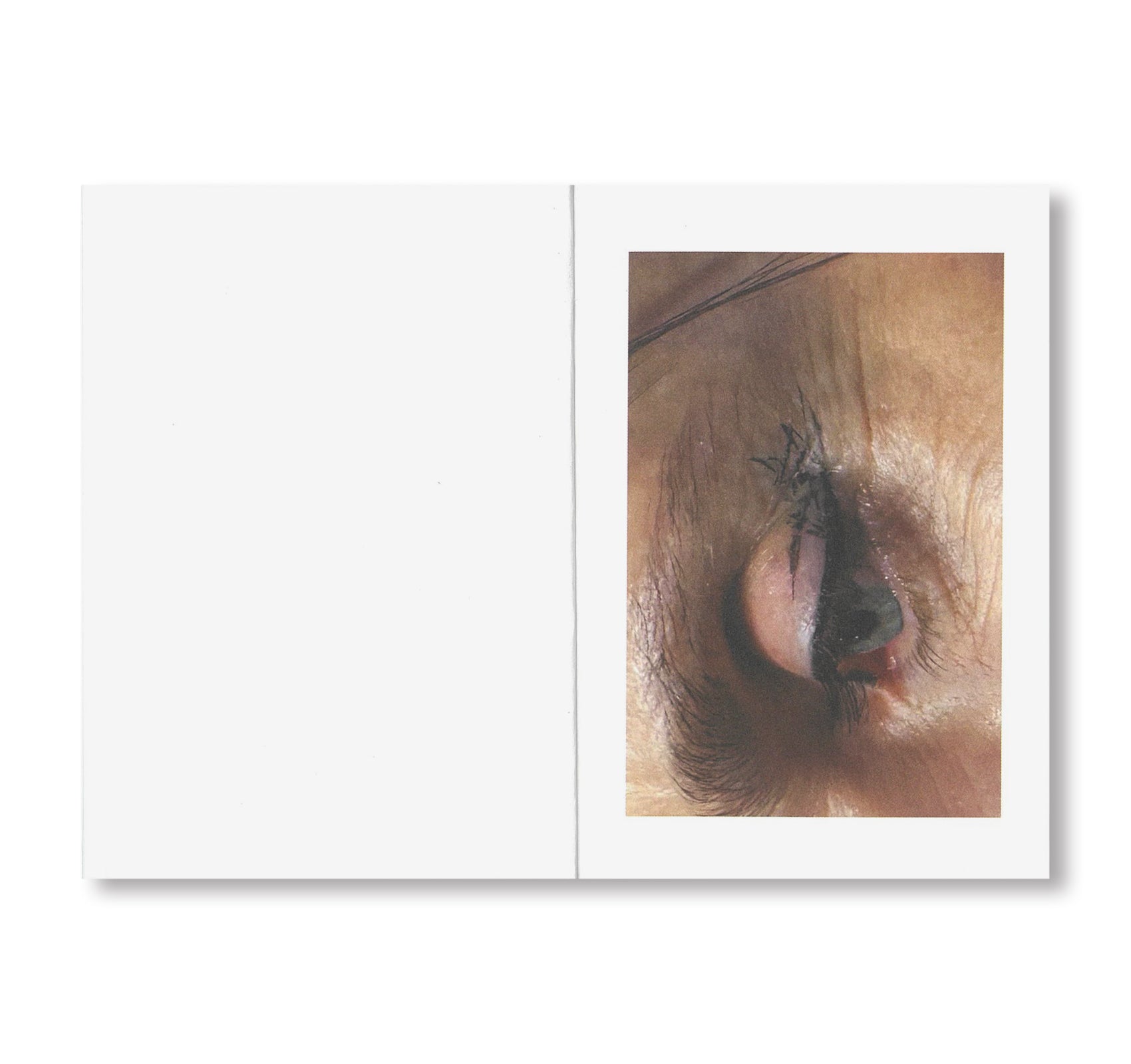 EYES by Inge Grognard