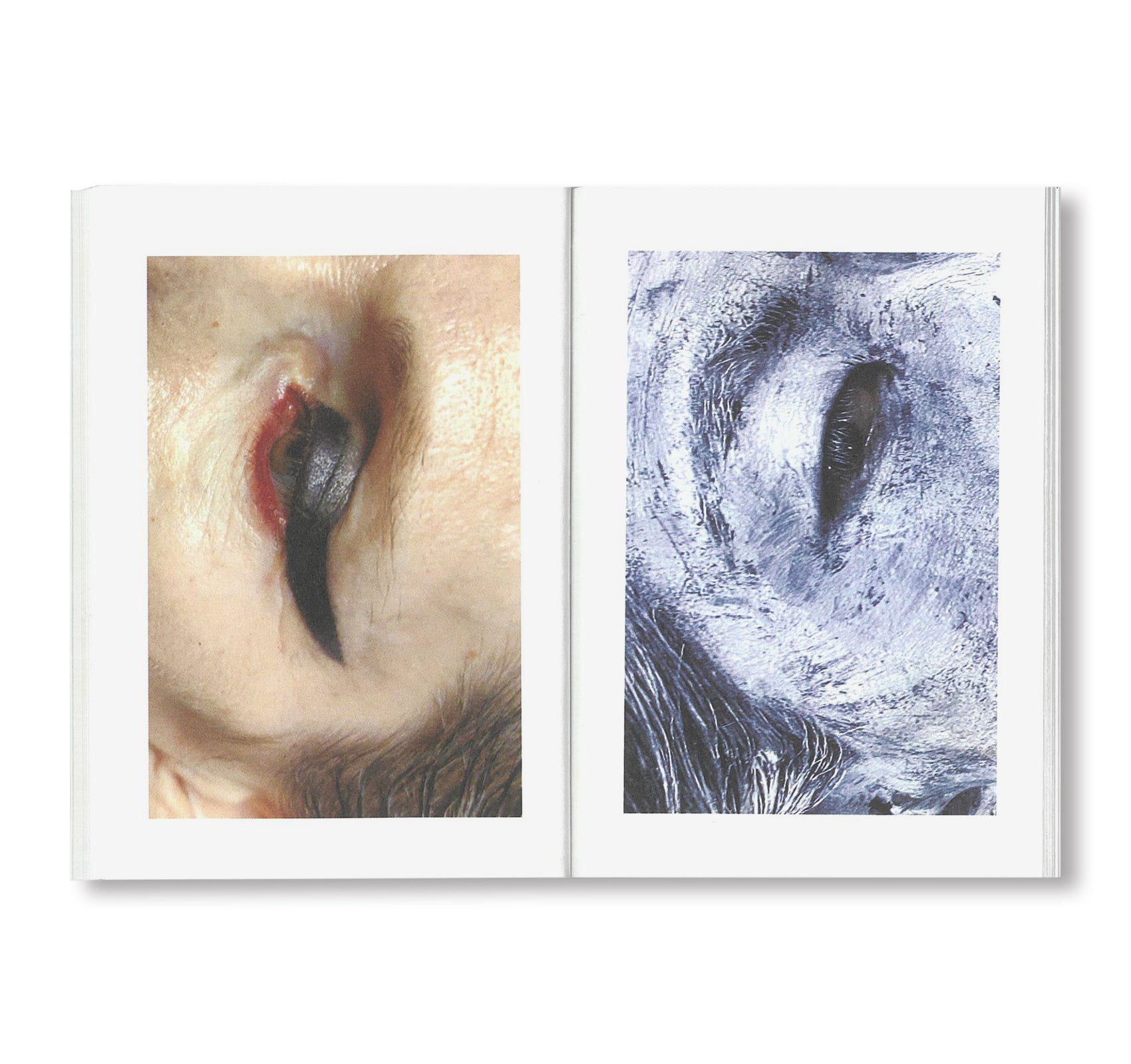 EYES by Inge Grognard