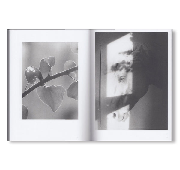 NATURAL SOURCES by Jochen Lempert – twelvebooks