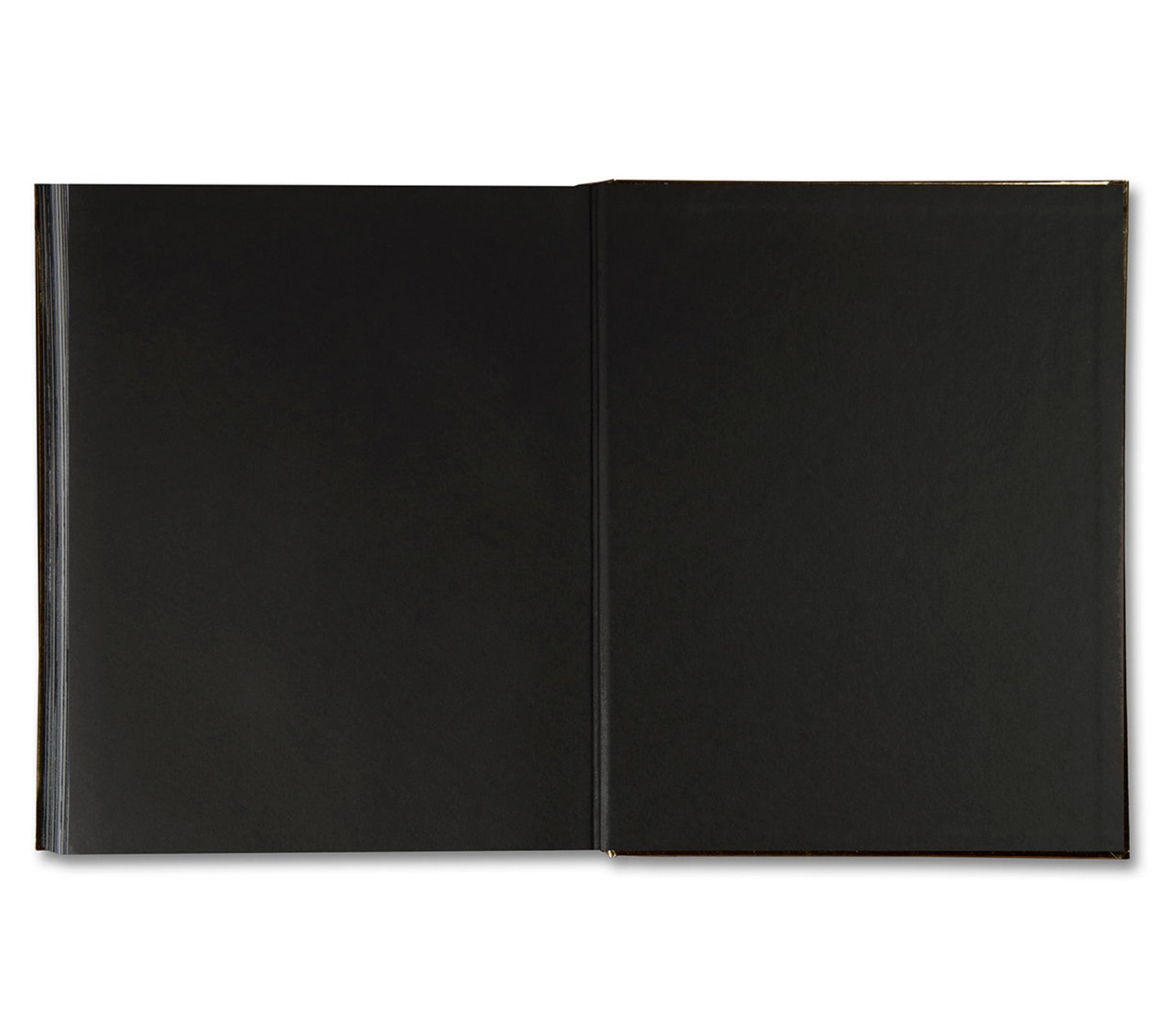 CHANEL HAUTE COUTURE by Sofia Coppola