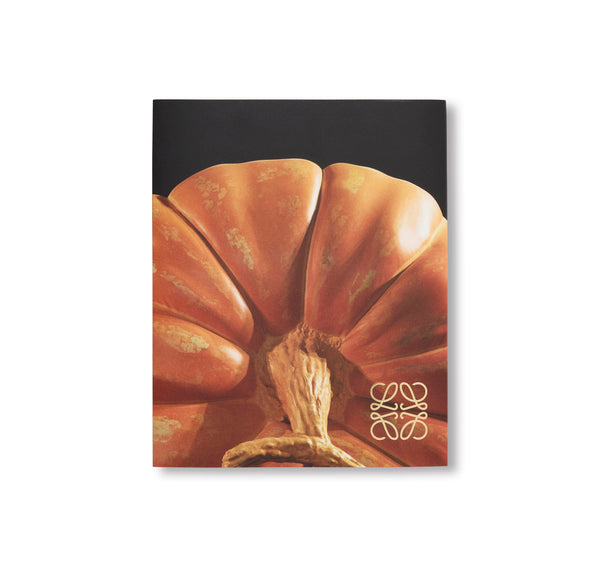 限定 LOEWE BOOK (With original box) アートブック 限定 LOEWE BOOK (With original box) アートブック LOEWE BOOK (With