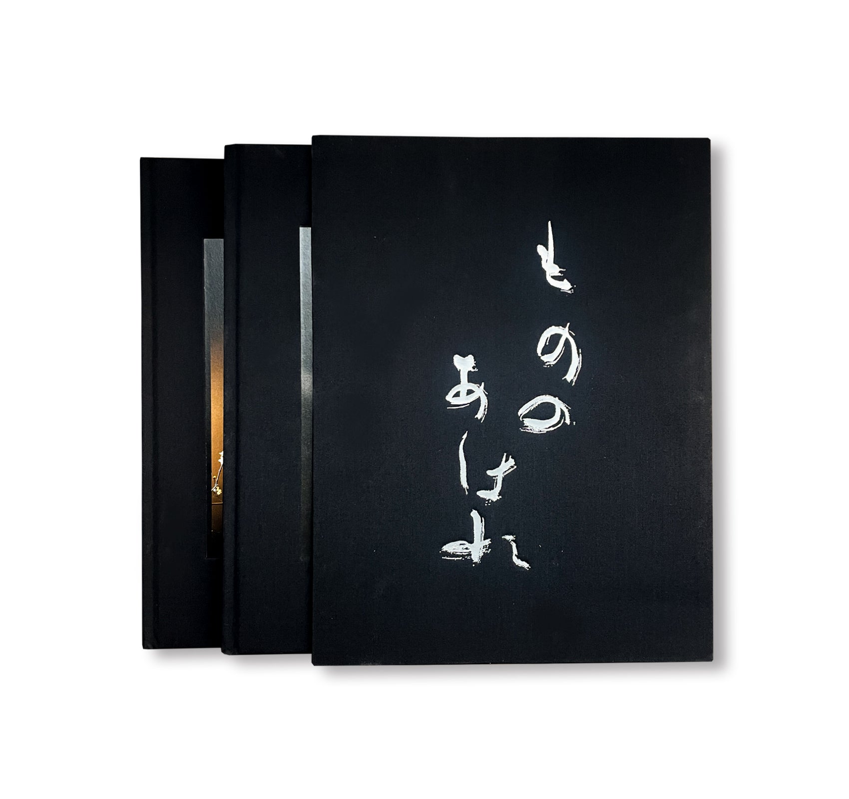 MONO NO AWARE・BEAUTY OF IMPERMANENCE by Kenro Izu