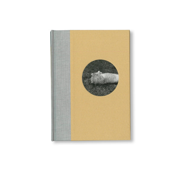 芸術写真 Mark Steinmetz / Original Print 00_654bc0fc-b770-4837-be9e-
