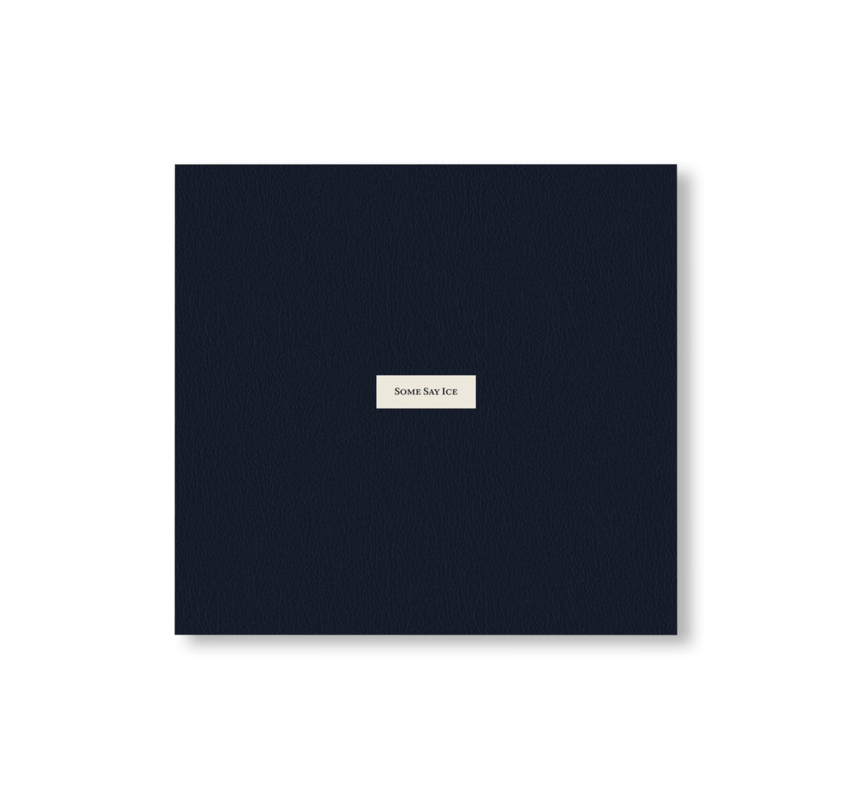 SOME SAY ICE by Alessandra Sanguinetti