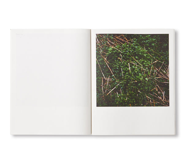 【サイン入り】WIESE by Anne Schwalbe アンネ・シュヴァルベ サイン入り】WIESE by Anne Schwalbe アンネ・シュヴァルベ