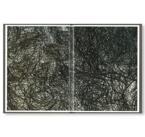 02_abd12cc1-653a-4d6a-8c88-