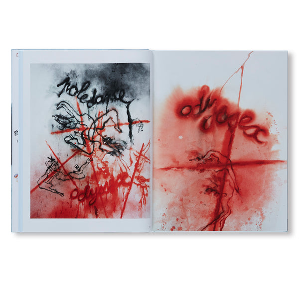 Annette Messager WORD FOR WORD/アネット・メサジェ Annette Messager: Word for Word by Harald Szeemann, Robert