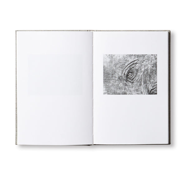 ANOTHER LANGUAGE by Mårten Lange [SIGNED] – twelvebooks