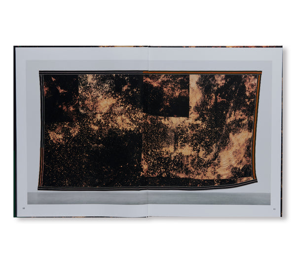 STERLING RUBY paris 作品集 03_fe40daf6-6941-442a-ae3e-