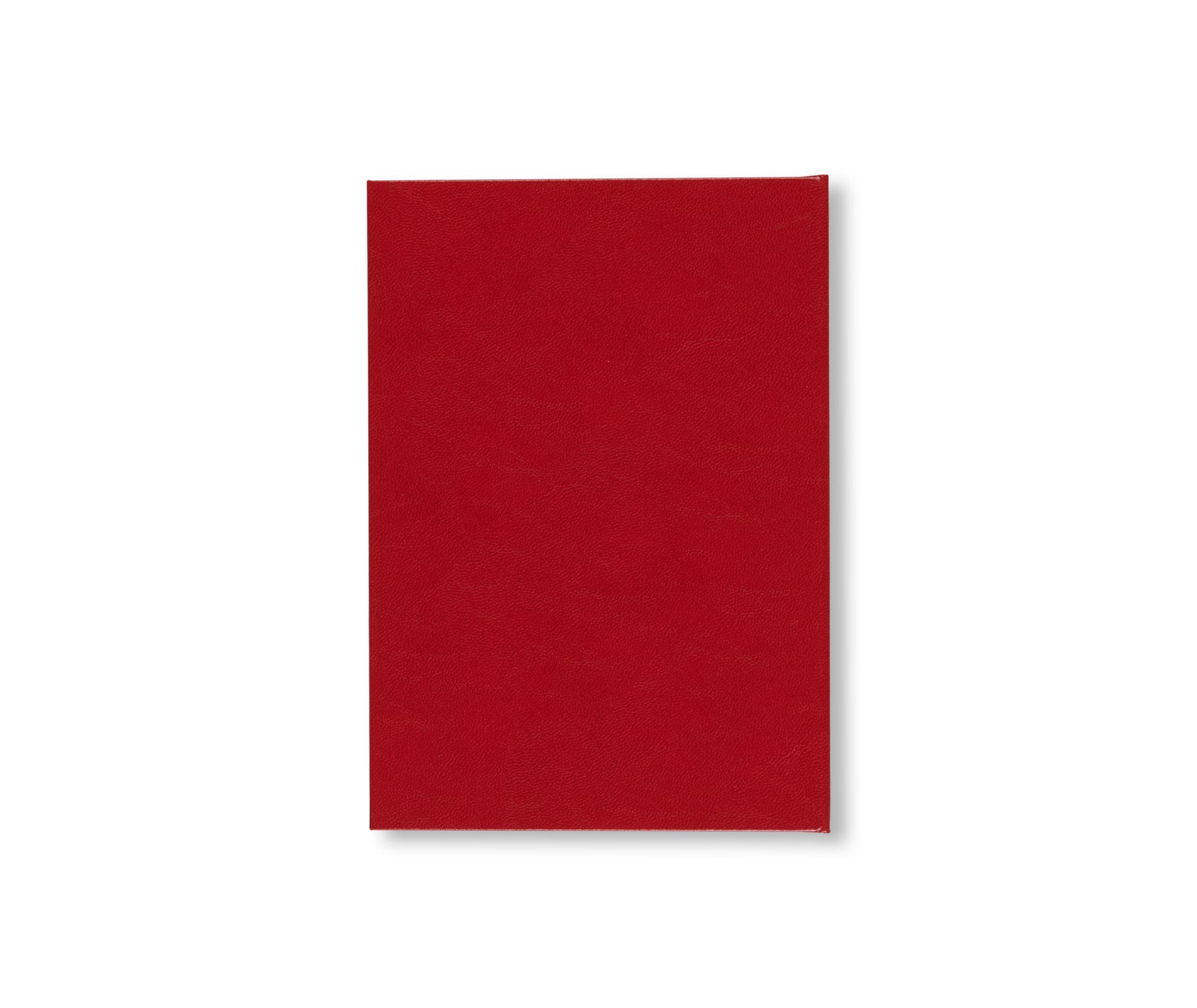 UNDER MY SKIN by Hermann Nitsch
