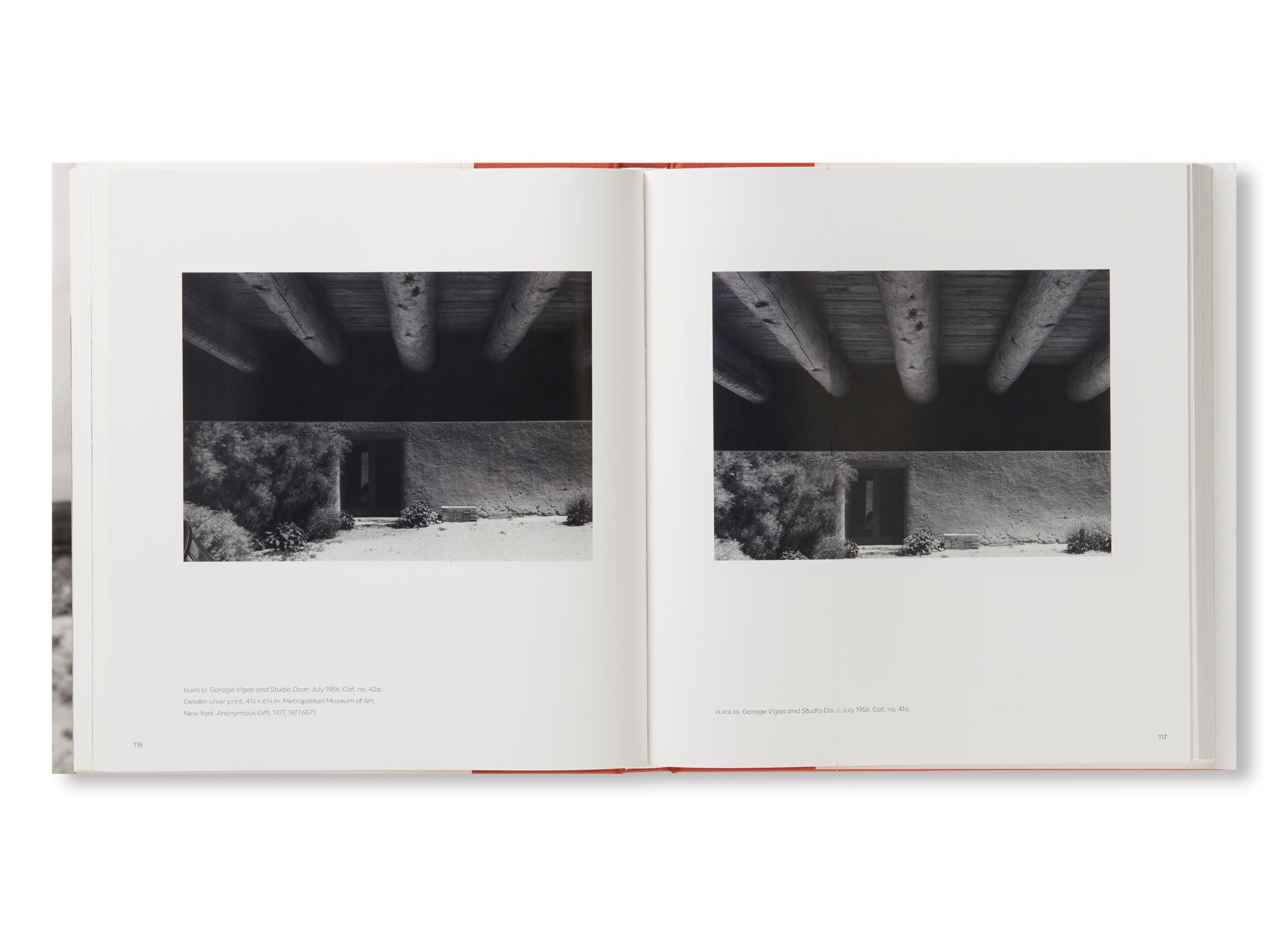 GEORGIA O'KEEFFE, PHOTOGRAPHER by Georgia O'Keeffe