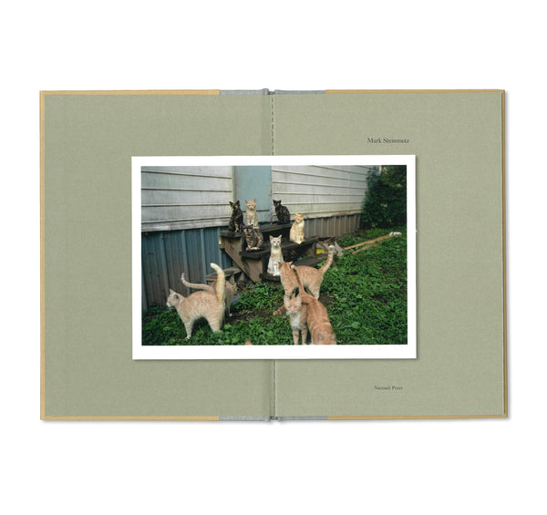 芸術写真 Mark Steinmetz / Original Print IMG_7059.jpg?v=1730799471