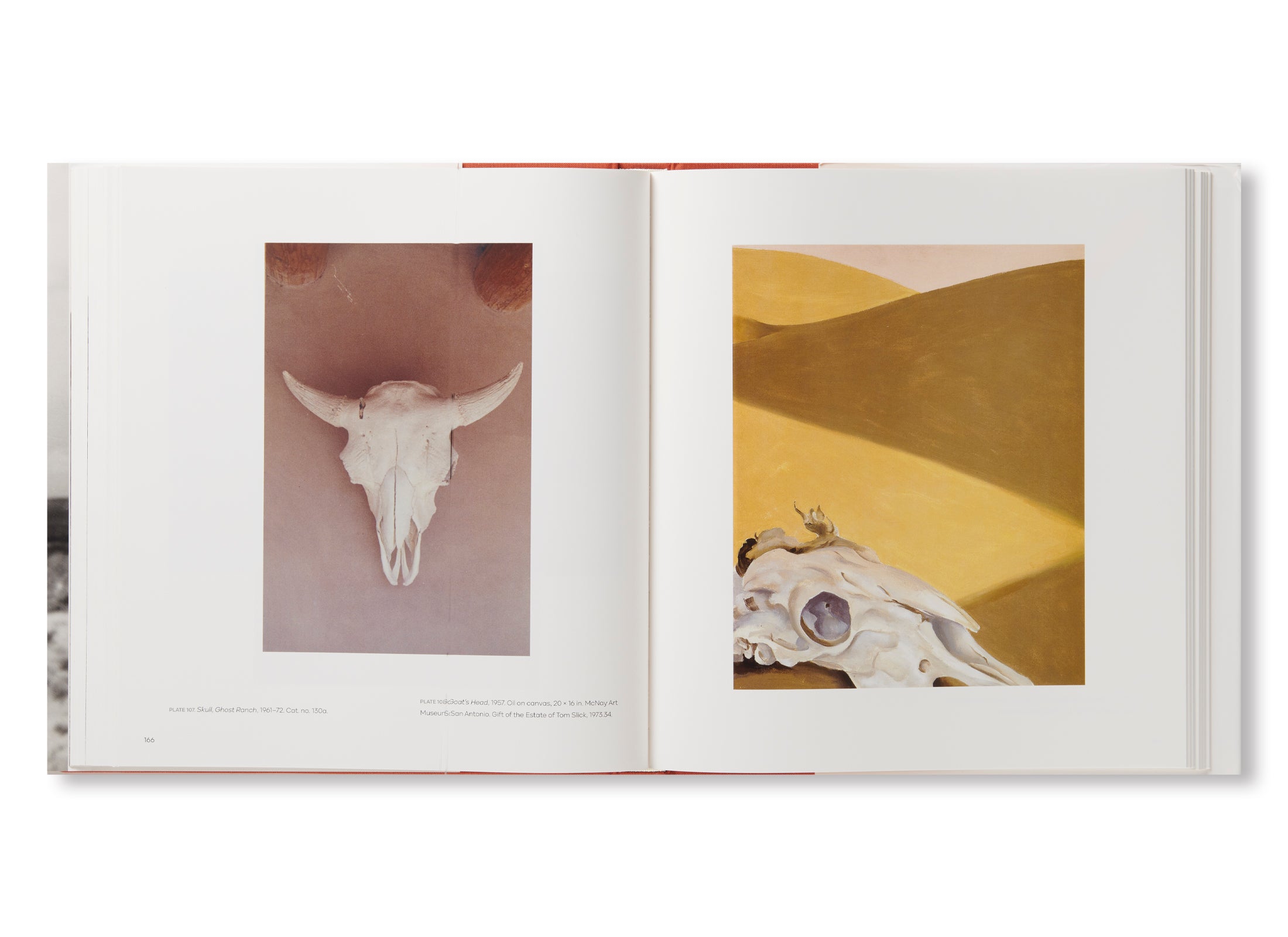 GEORGIA O'KEEFFE, PHOTOGRAPHER by Georgia O'Keeffe