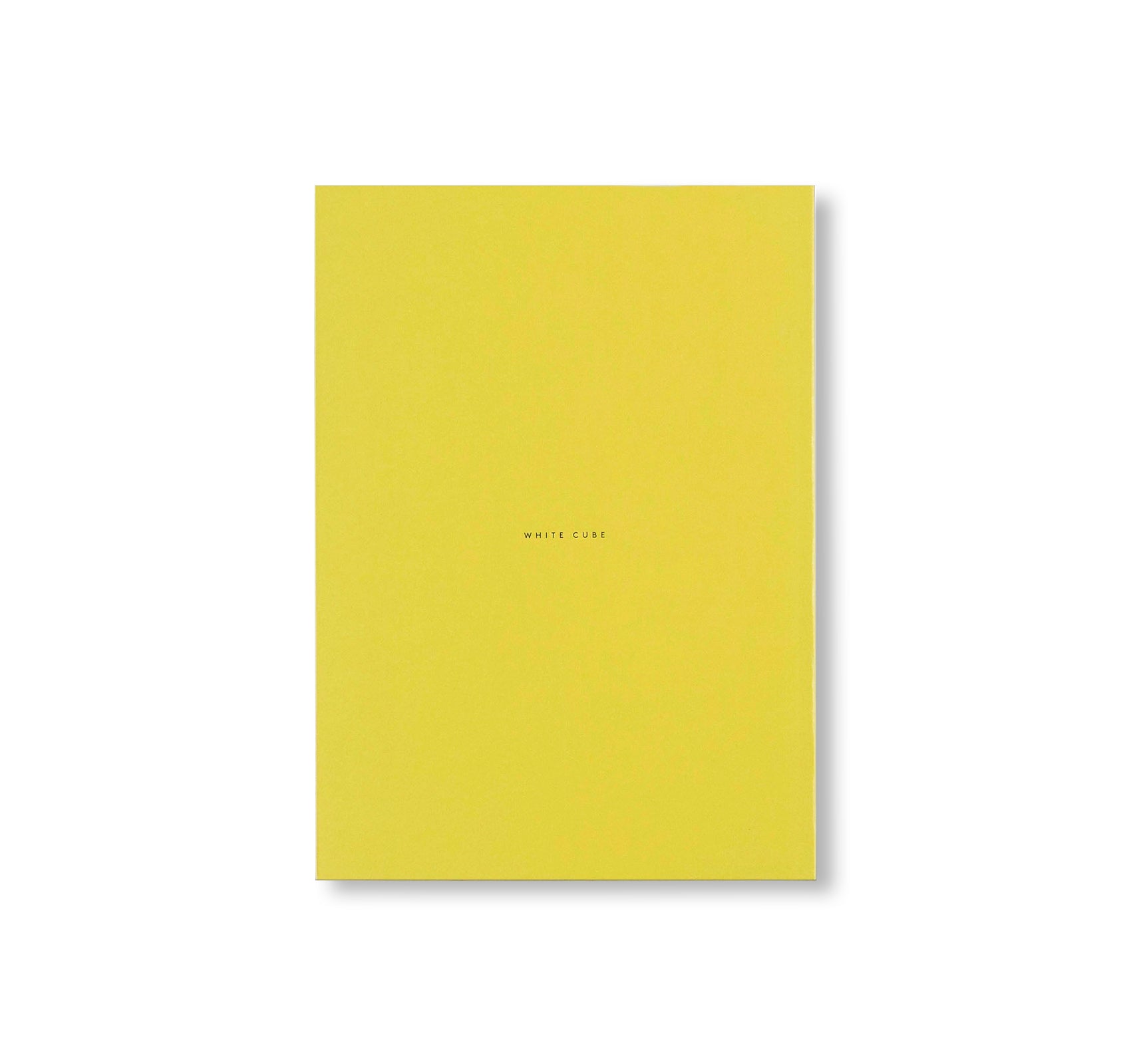 PRESENCE/ABSENCE by Bruce Nauman