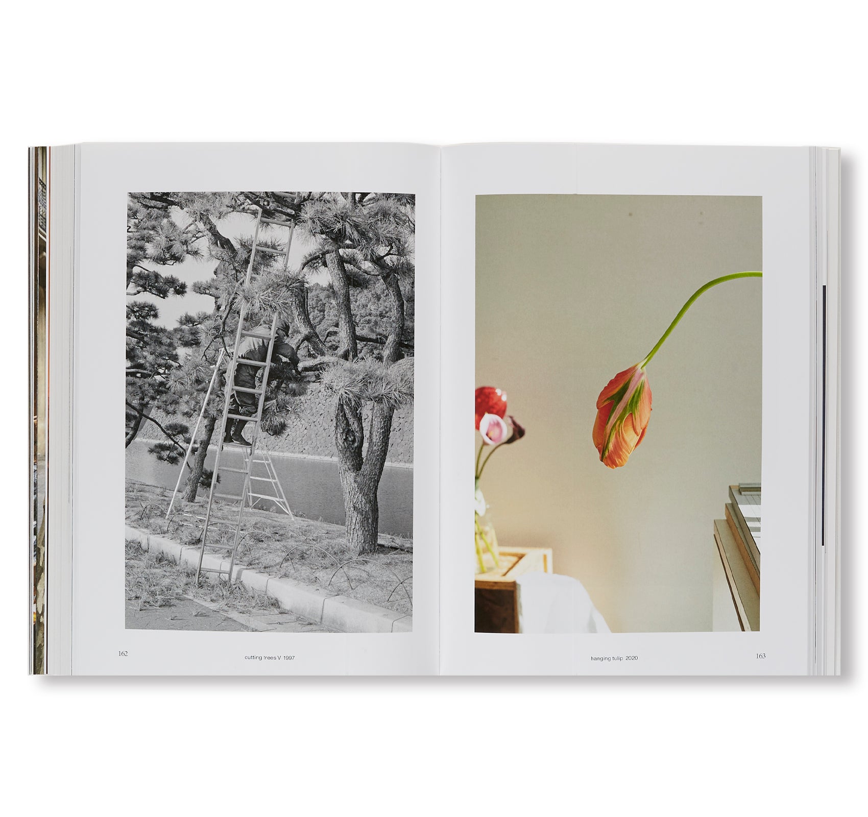 SOUND IS LIQUID by Wolfgang Tillmans