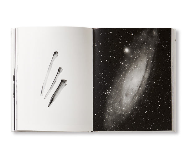 ALMOST THERE by Aleix Plademunt [SIGNED] – twelvebooks