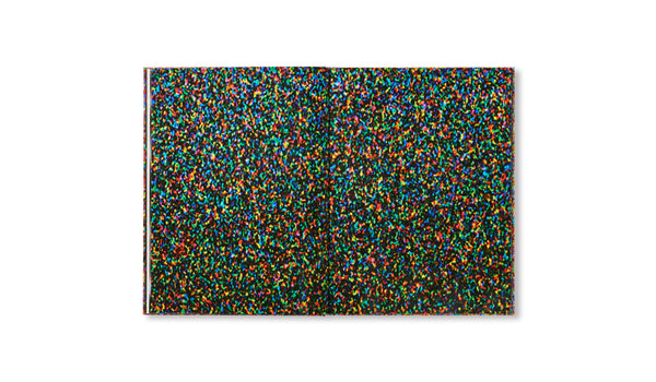 【Films by Paul Graham】ポール・グラハム　新品未読品・美本 FILMS by Paul Graham – twelvebooks