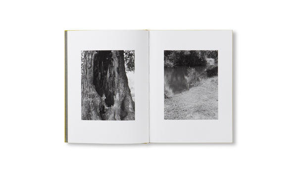 NATUR by Michael Schmidt – twelvebooks