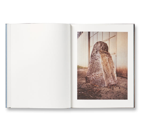A PERPETUAL SEASON by Grégoire Pujade-Lauraine – twelvebooks