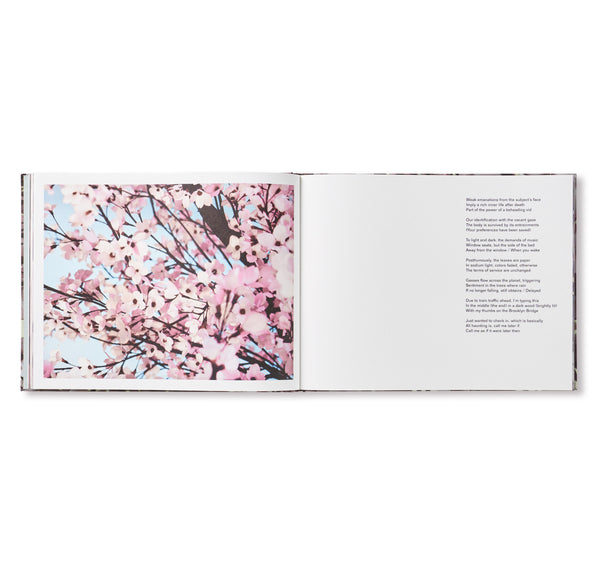 BLOSSOM by Thomas Demand & Ben Lerner – twelvebooks