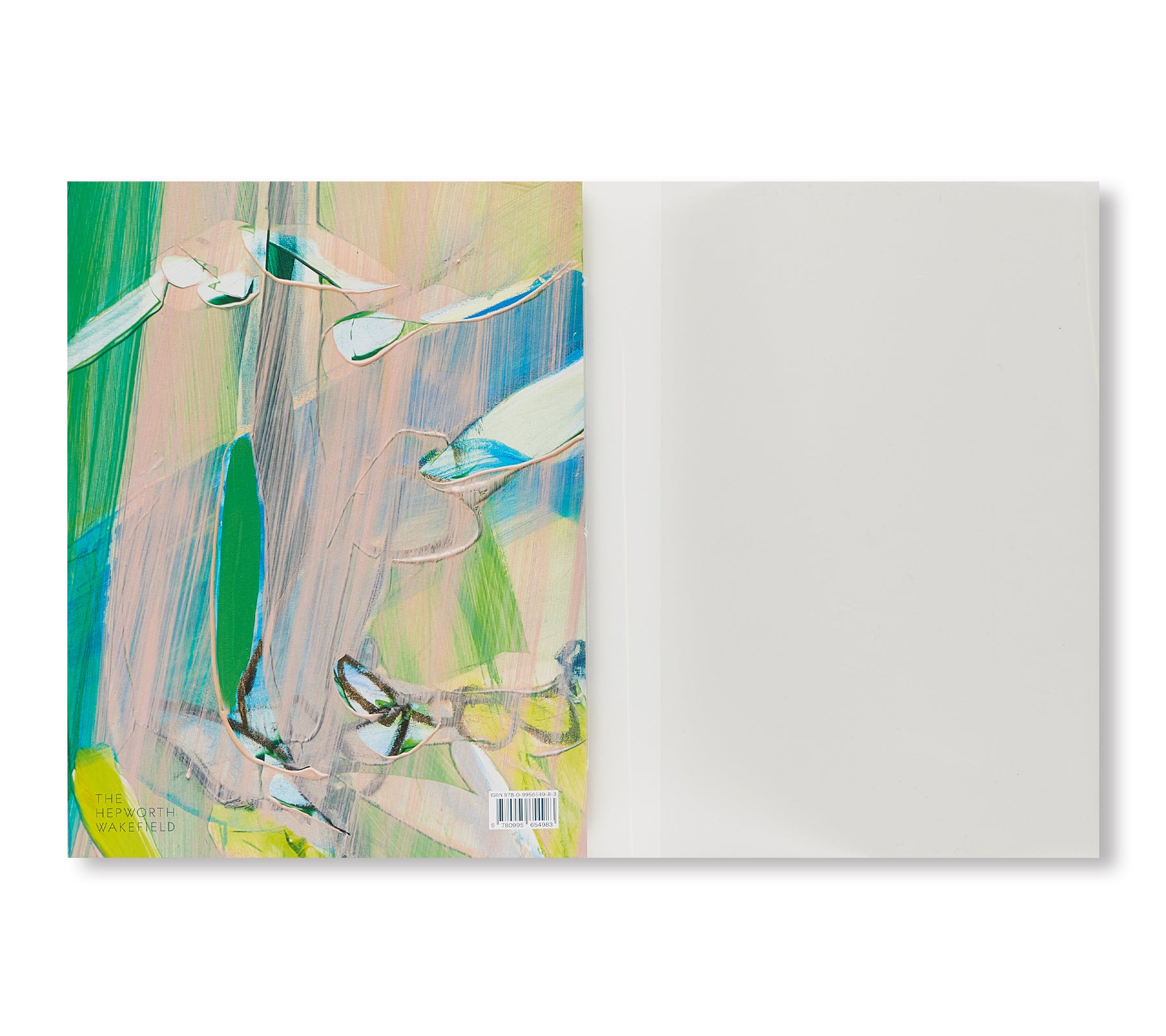 CAN WE SEE THE COLOUR GREEN BECAUSE WE HAVE A NAME FOR IT? by Jadé Fadojutimi