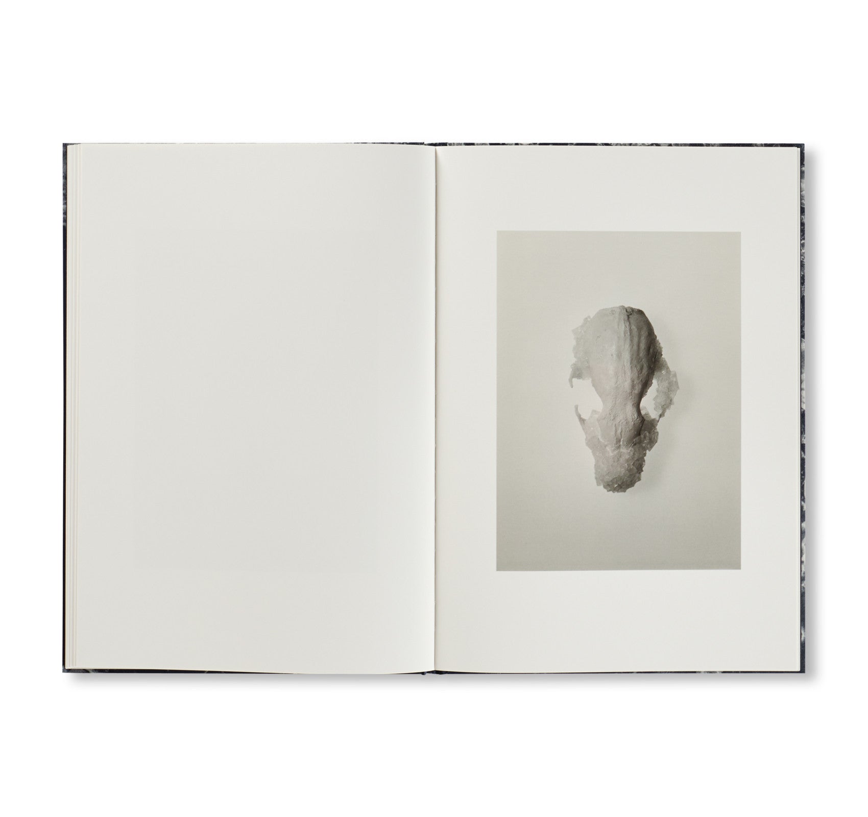TRANSPARENCY IS THE NEW MYSTERY by Mayumi Hosokura
