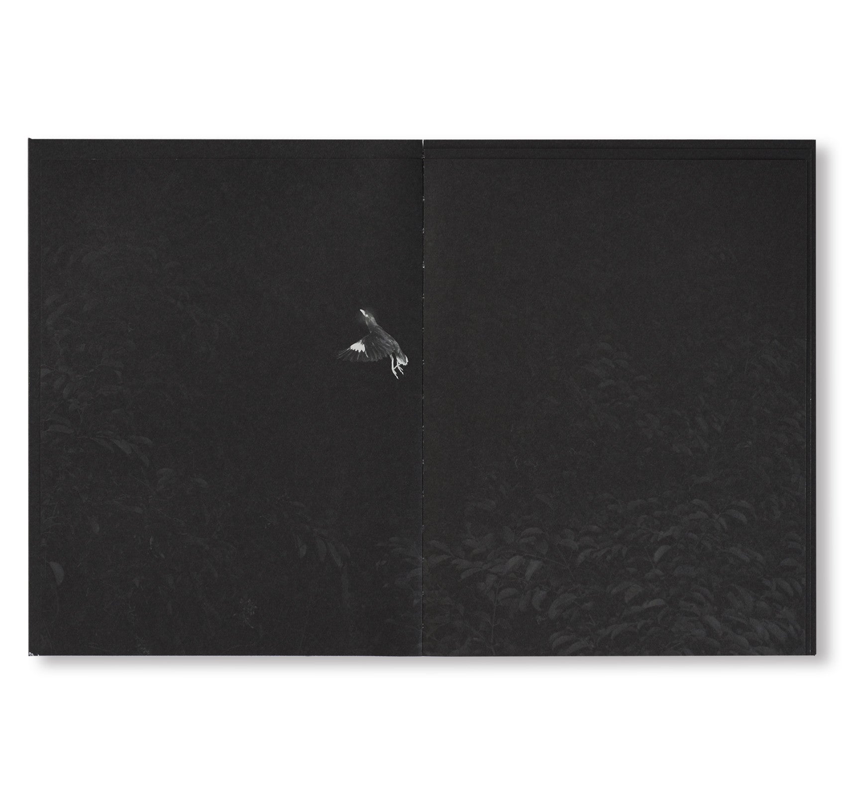 MYNAS by Robert Zhao Renhui