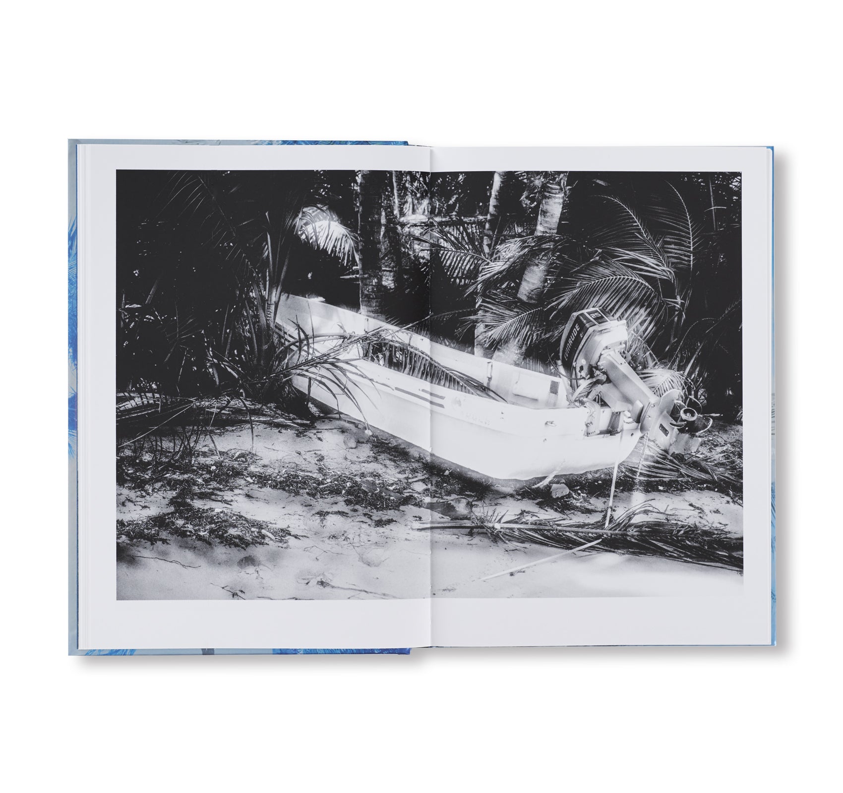 IN MOST TIDES AN ISLAND by Nicholas Muellner