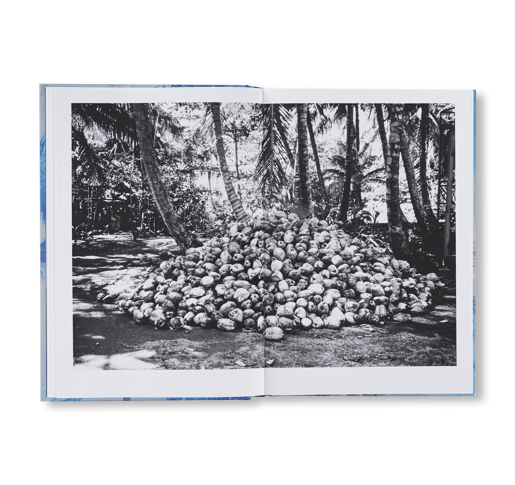 IN MOST TIDES AN ISLAND by Nicholas Muellner