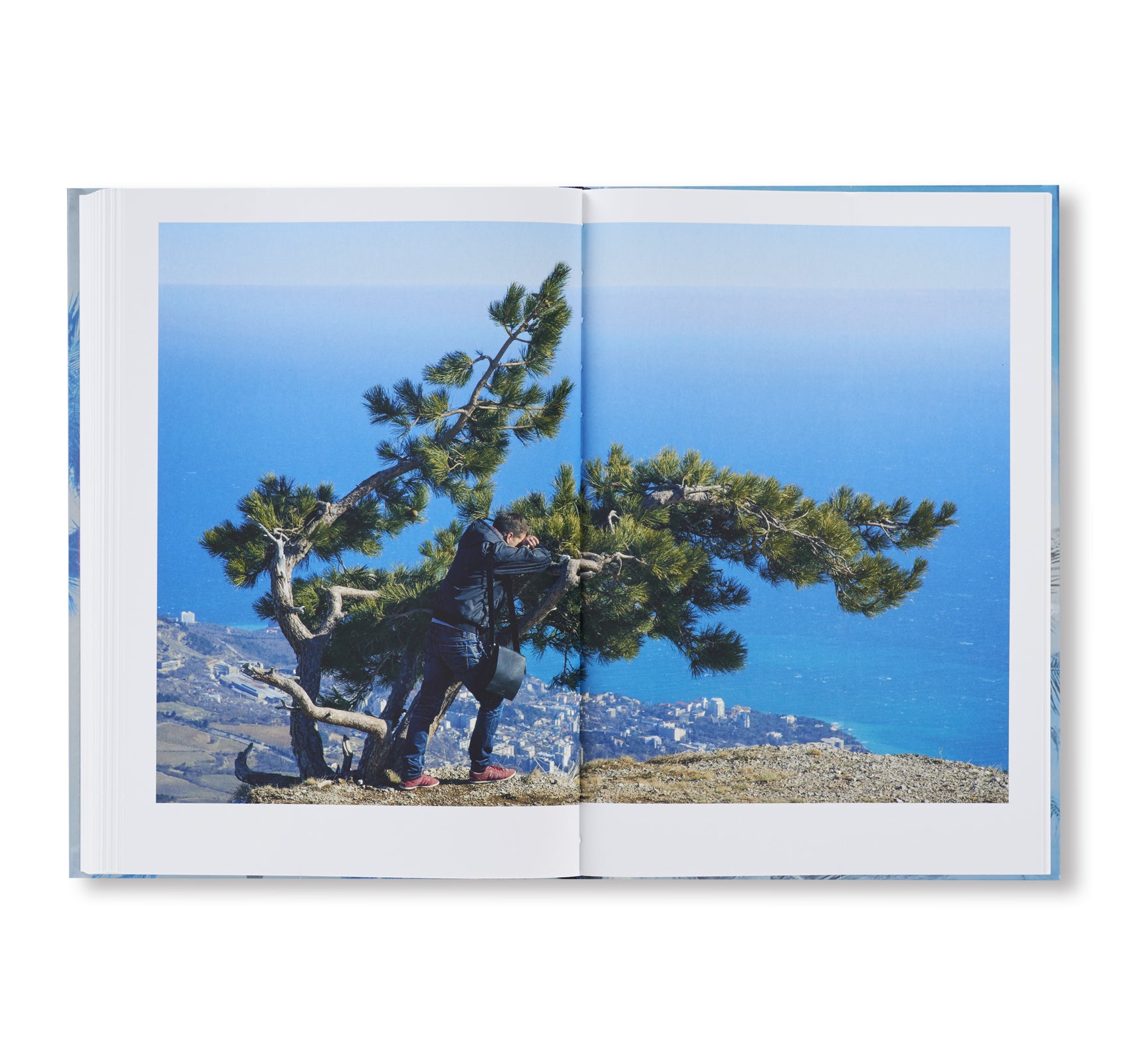 IN MOST TIDES AN ISLAND by Nicholas Muellner