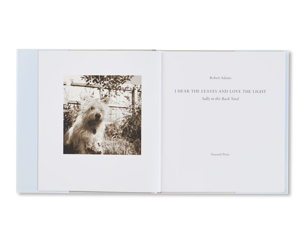I HEAR THE LEAVES AND LOVE THE LIGHT by Robert Adams – twelvebooks