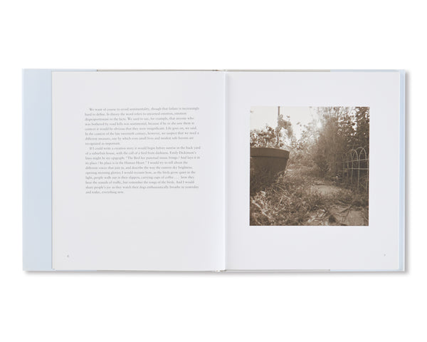 洋書 I HEAR THE LEAVES AND LOVE THE LIGHT Robert Adams - I Hear The Leaves & Love The Light