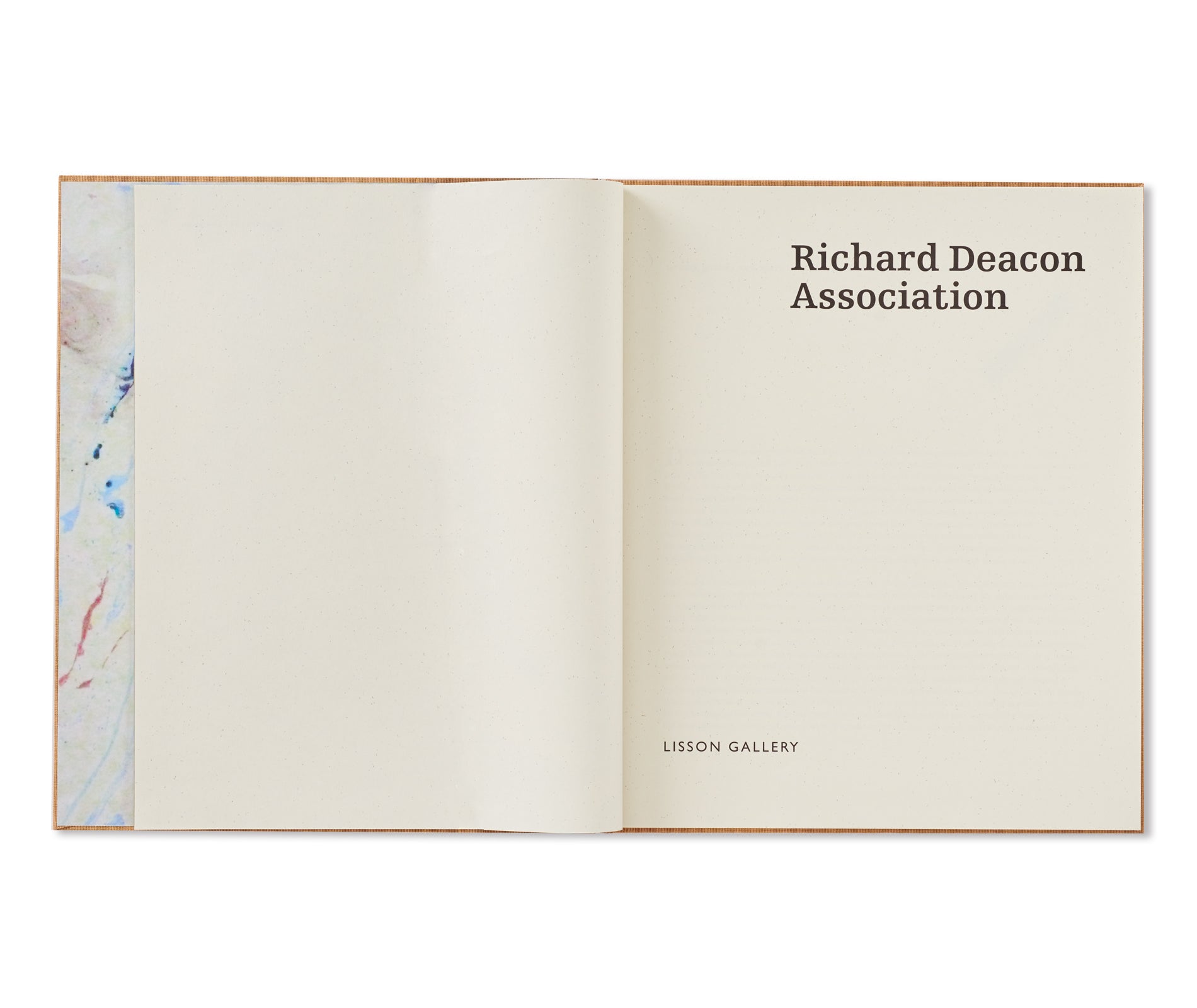 ASSOCIATION by Richard Deacon