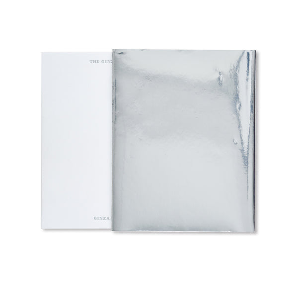 Michalis Pichler 銀座八丁 Every Building on the Ginza Strip Michalis Pichler | タイム