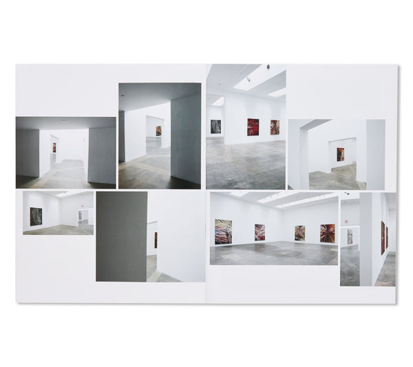 SEVEN FACES by Mark Grotjahn – twelvebooks