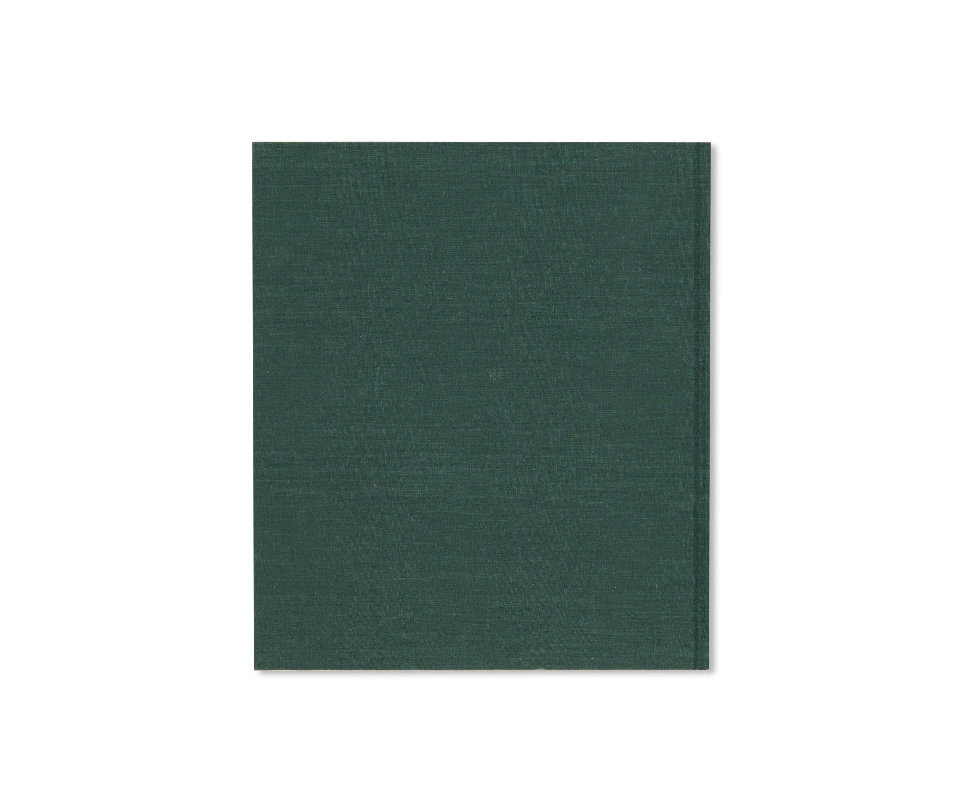 SUMMER CAMP by Mark Steinmetz