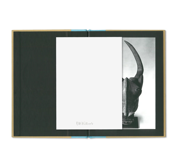 AFRICA: GEMS AND JEWELS　Carrie Mae Weems CARRIE MAE WEEMS | One Picture Book Two #21 : Africa: Gems