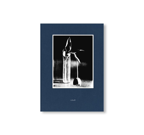 Bjork Archives 英語版 tg005.jpg