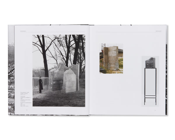 200721_0278_grande.jpg?v=