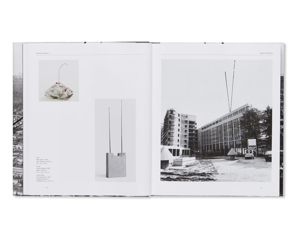 200721_0279_grande.jpg?v=