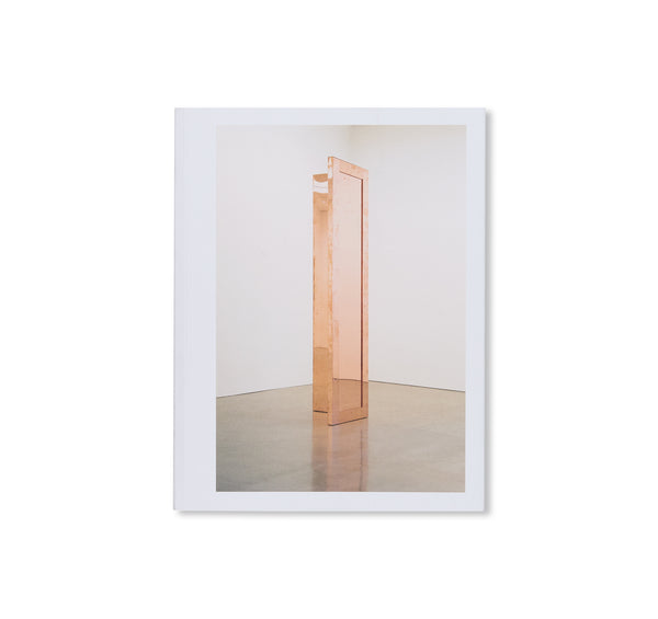 WORKS IN EXHIBITION 2011-2020 by Walead Beshty – twelvebooks