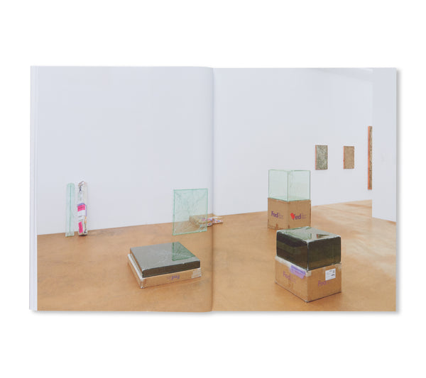 WORKS IN EXHIBITION 2011-2020 by Walead Beshty – twelvebooks