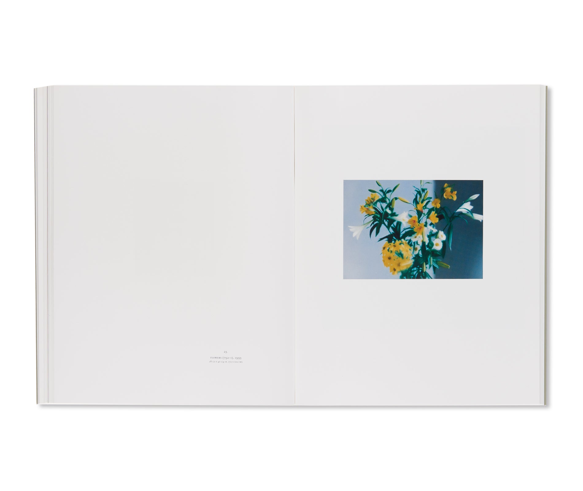 DOCUMENTA IX, 1992 / MARIAN GOODMAN GALLERY, 1993 by Gerhard Richter