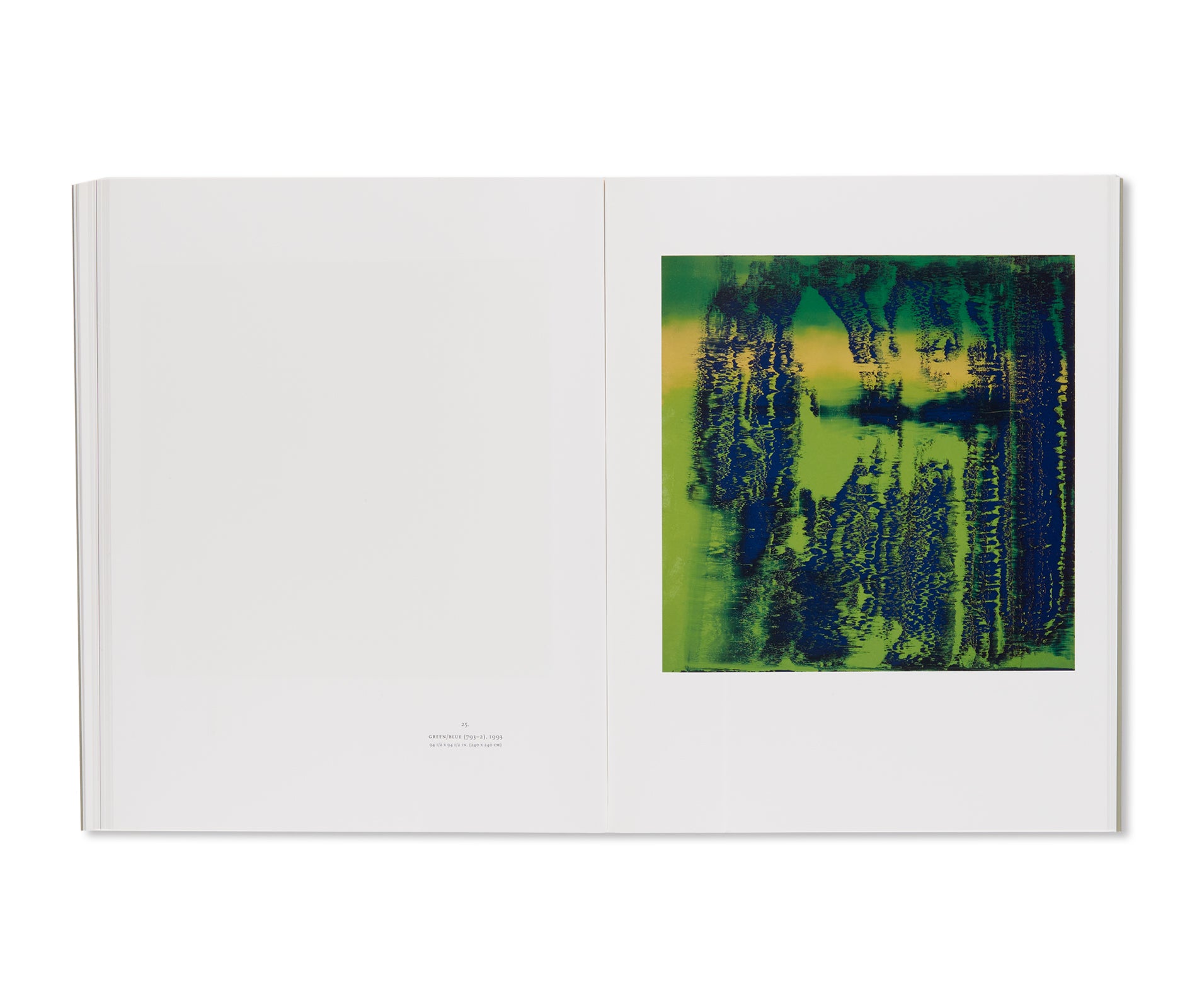 DOCUMENTA IX, 1992 / MARIAN GOODMAN GALLERY, 1993 by Gerhard Richter