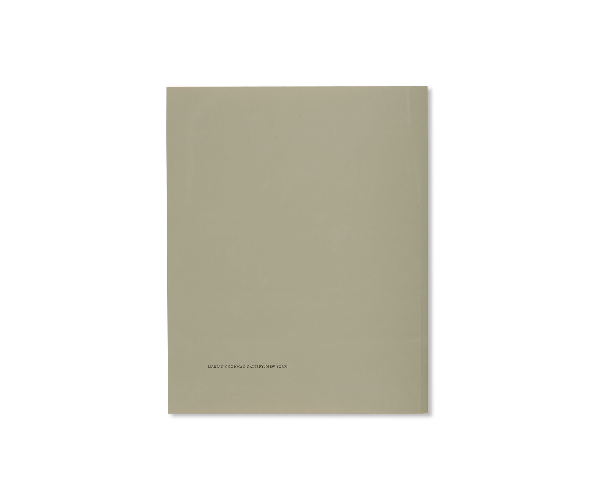 DOCUMENTA IX, 1992 / MARIAN GOODMAN GALLERY, 1993 by Gerhard Richter