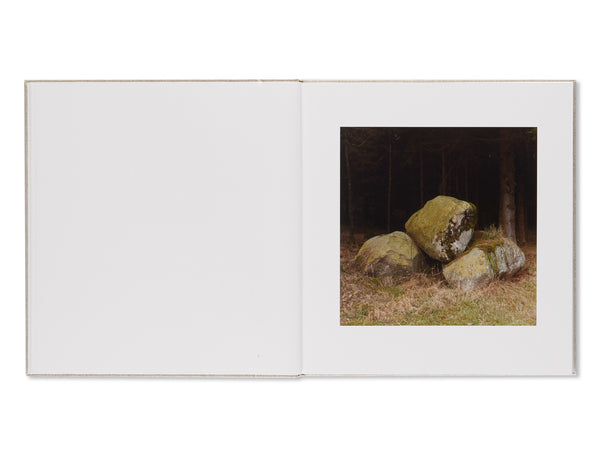 Bernhard Fuchs / MÜHL Mühl – KÖNIG GALERIE
